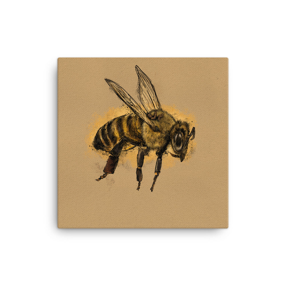 BEE CANVAS